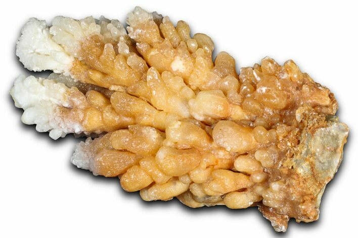 Sparkling Calcite/Aragonite Stalactite Formation - China #364513